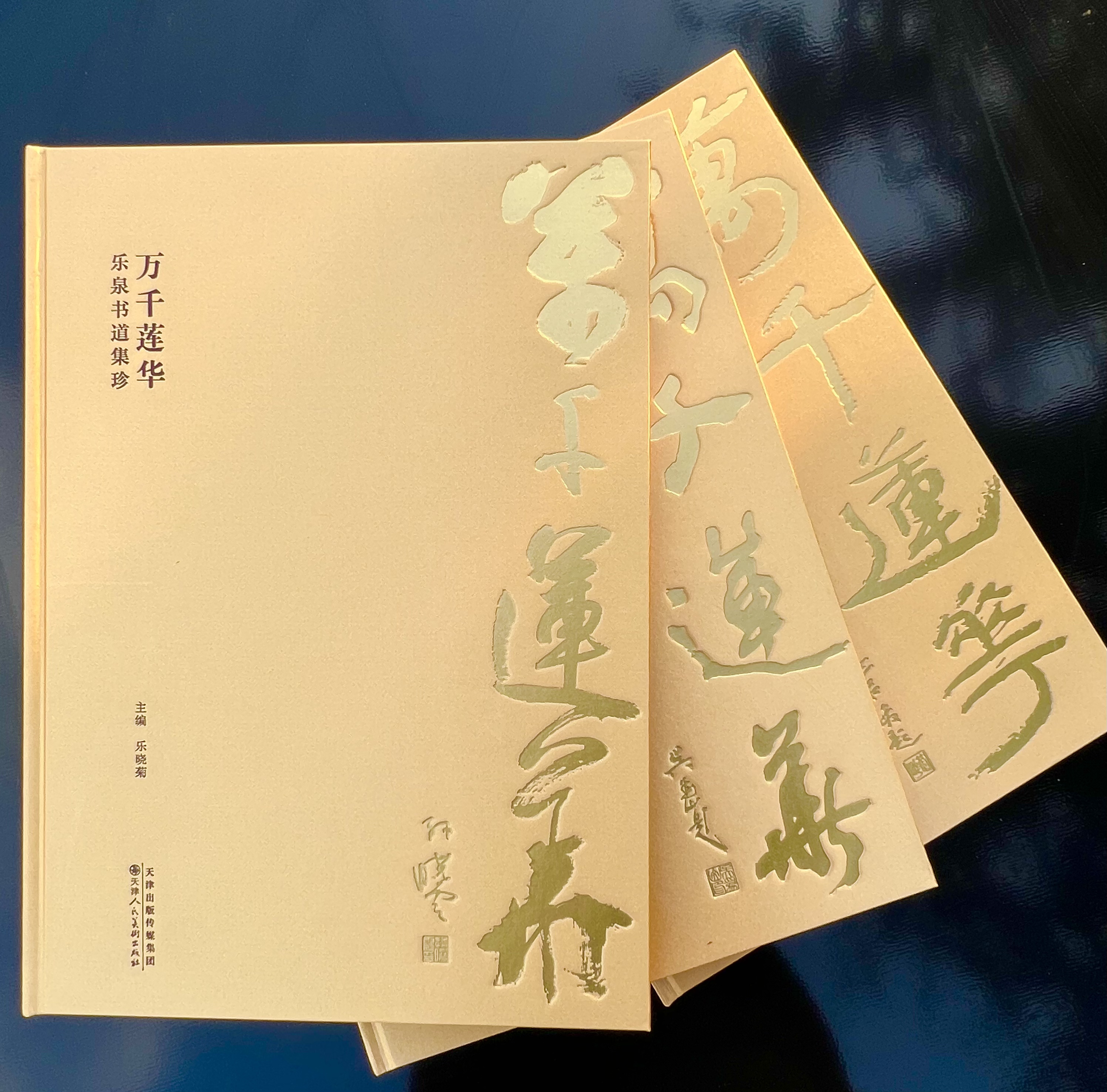 万千莲华 乐泉书道集珍套装（合3册）